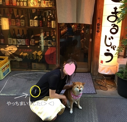 下町のくるみちゃん_a0126590_22524842.jpg
