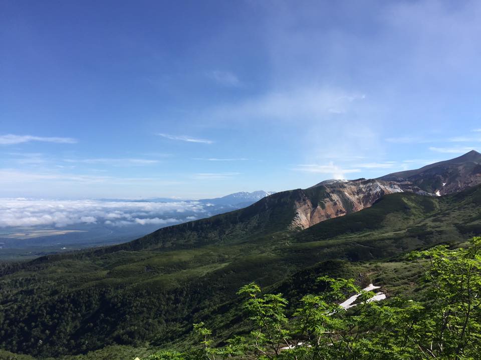 d0198793_11194988.jpg