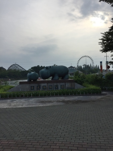 梅雨明け間近（？）の動物園_f0033893_15271688.jpg