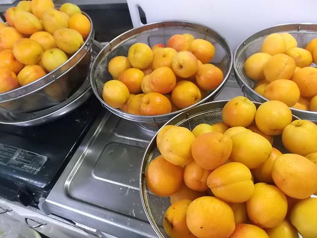 八助梅(なにわ梅)の漬け方_f0019498_1240425.jpg