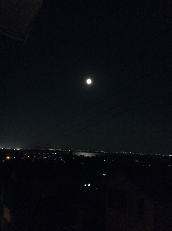 b0220002_21584397.jpeg