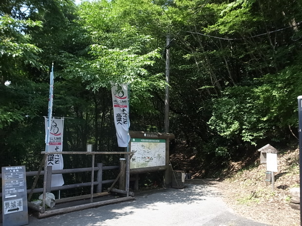 f0197703_17131046.jpg