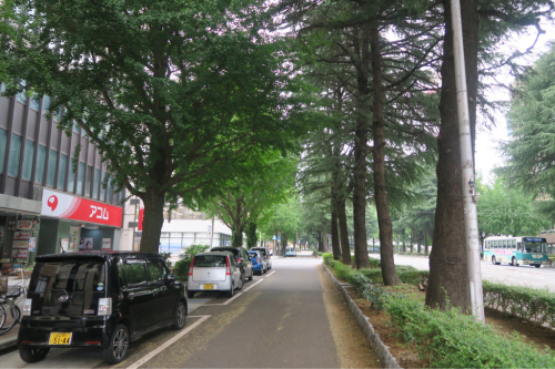 復興の街を歩く 徳山(山口県)_d0147406_18393486.jpg