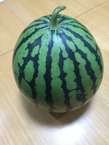 スイカと和菓子_f0206213_13551462.jpeg