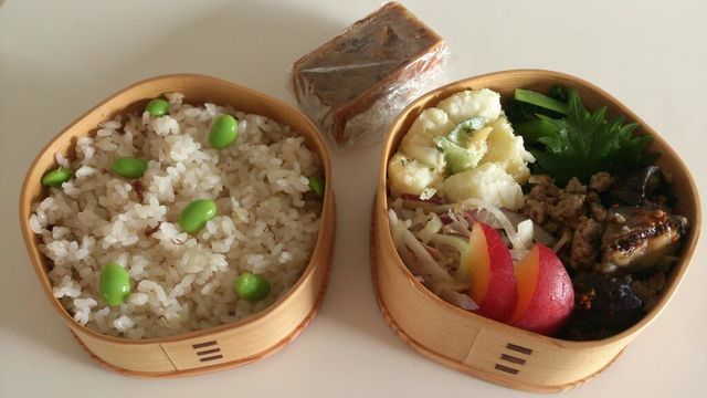 2016/7/19茄子と豚肉の行者にんにく醤油炒め弁当_c0317717_20292456.jpg