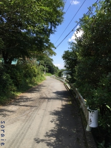 f0064818_18093975.jpg