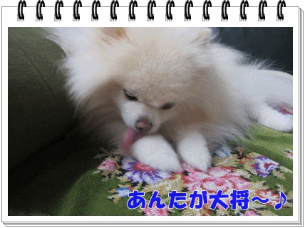 b0167519_1313010.gif