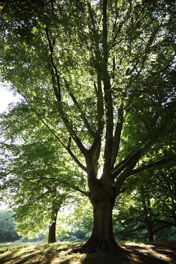 c0249519_6443915.jpg