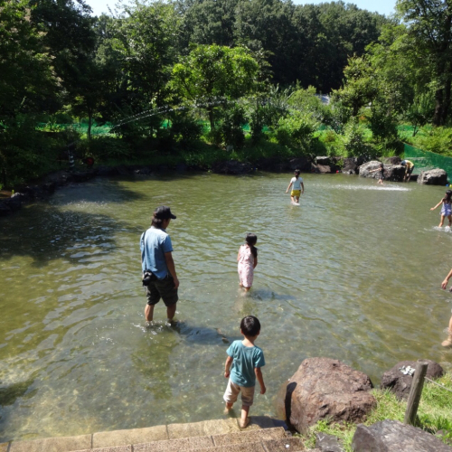 f0170422_22532912.jpg