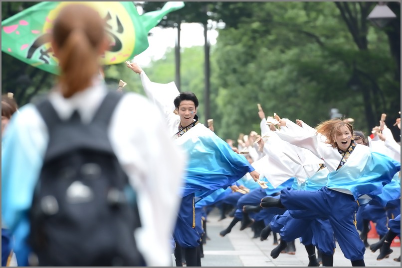 10th　よさこい光が丘　「おどりんちゅ」　（敬称略）　東京都_c0276323_15321181.jpg