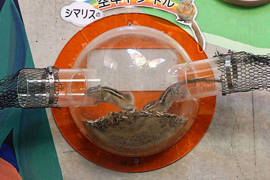 f0224624_9465192.jpg