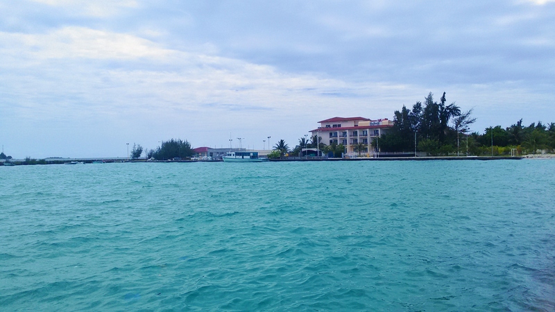 a0349326_18258.jpg