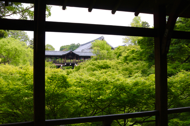 【東福寺 1】京都旅行 - 17 -_f0348831_23034817.jpg