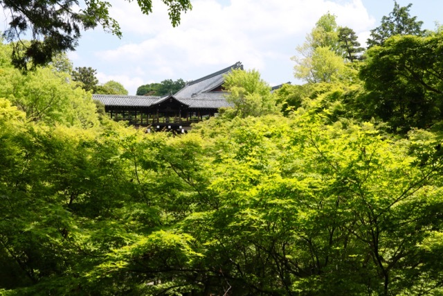 【東福寺 1】京都旅行 - 17 -_f0348831_23034873.jpg