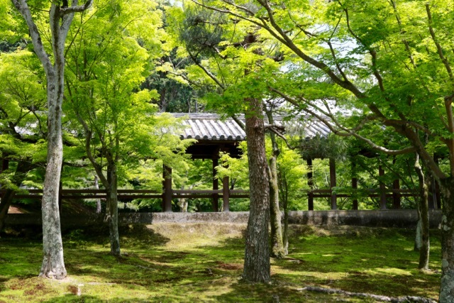 【東福寺 1】京都旅行 - 17 -_f0348831_23043749.jpg