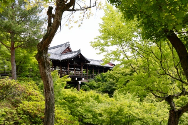 【東福寺 1】京都旅行 - 17 -_f0348831_23044381.jpg