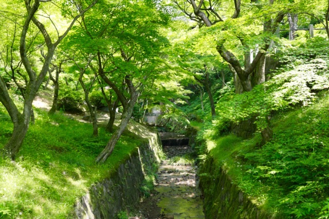 【東福寺 1】京都旅行 - 17 -_f0348831_23044851.jpg
