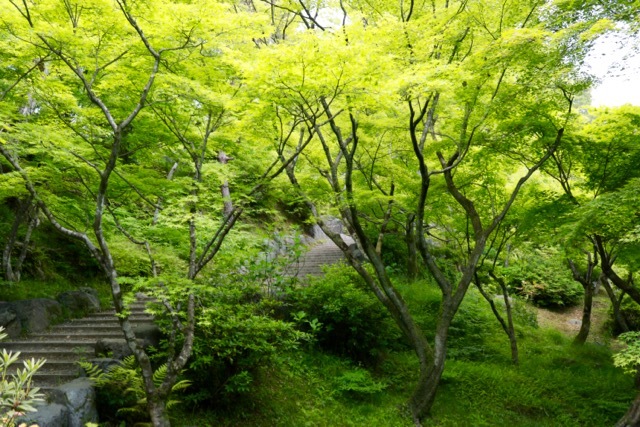 【東福寺 1】京都旅行 - 17 -_f0348831_23044862.jpg
