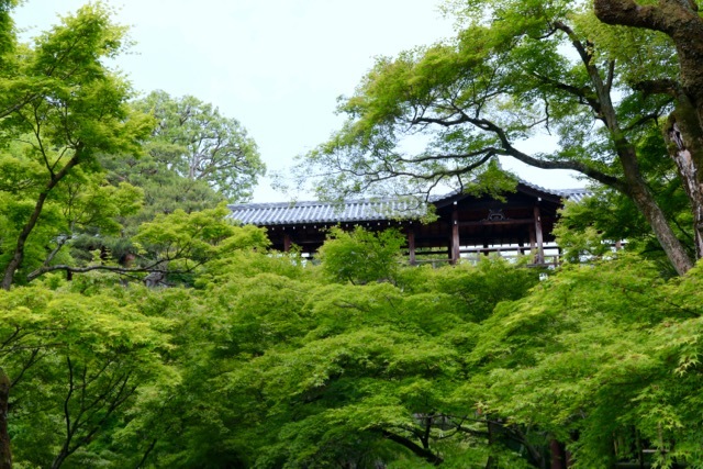 【東福寺 1】京都旅行 - 17 -_f0348831_23044974.jpg