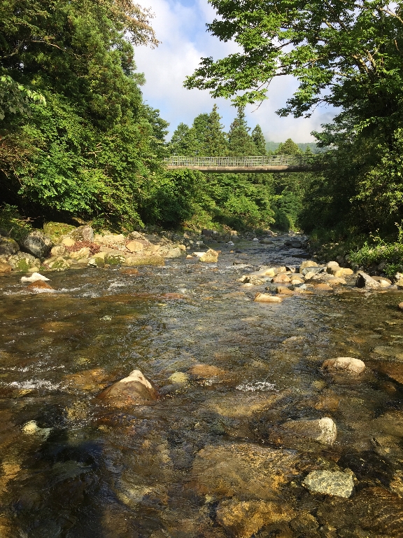 c0113733_125236.jpg