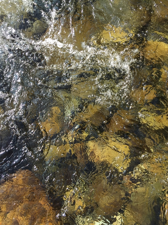 c0113733_1252838.jpg