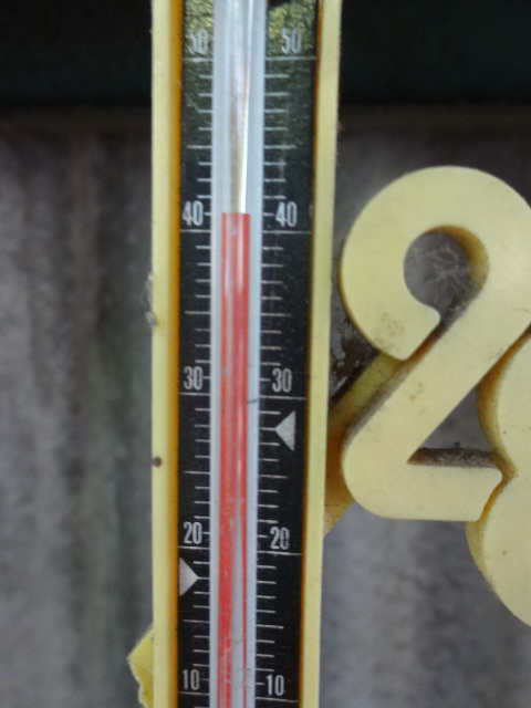 f0142733_20255127.jpg