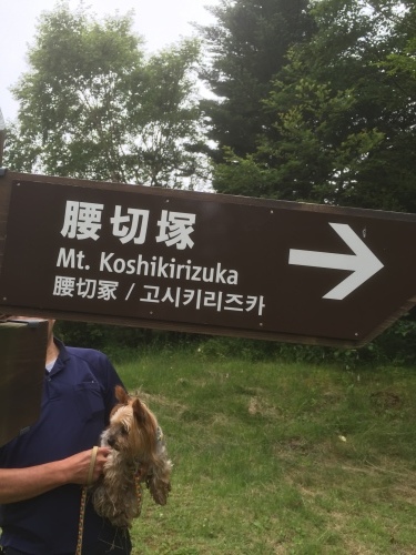 b0369239_15090627.jpeg
