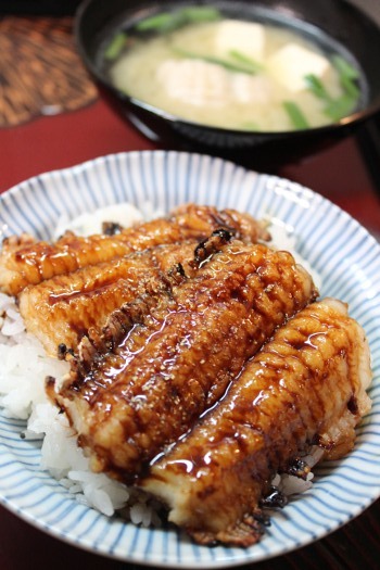 ハモの蒲焼丼_d0346950_07134629.jpg