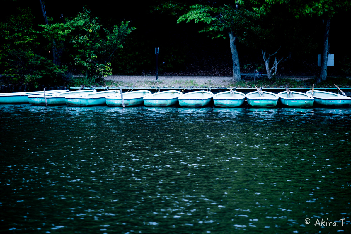f0152550_2229288.jpg