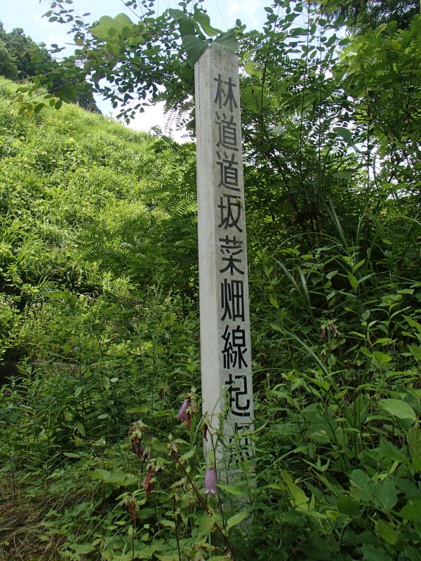 f0119755_17144.jpg