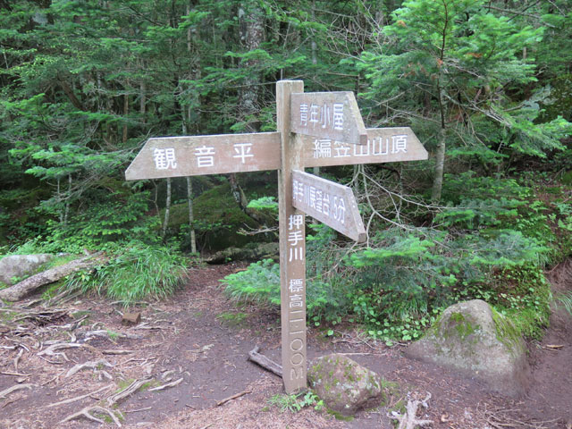 2016年7月17日　編笠山2,524m・権現岳2,715m（山梨県北杜市）_c0116856_20292489.jpg