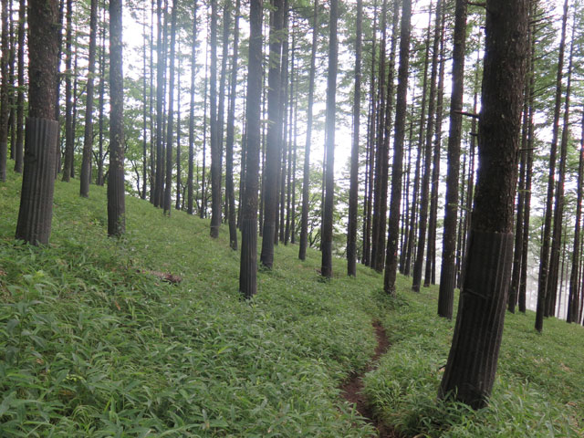 2016年7月17日　編笠山2,524m・権現岳2,715m（山梨県北杜市）_c0116856_20315697.jpg