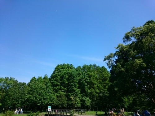 自然とのふれあいin水元公園_e0271858_20284330.jpg