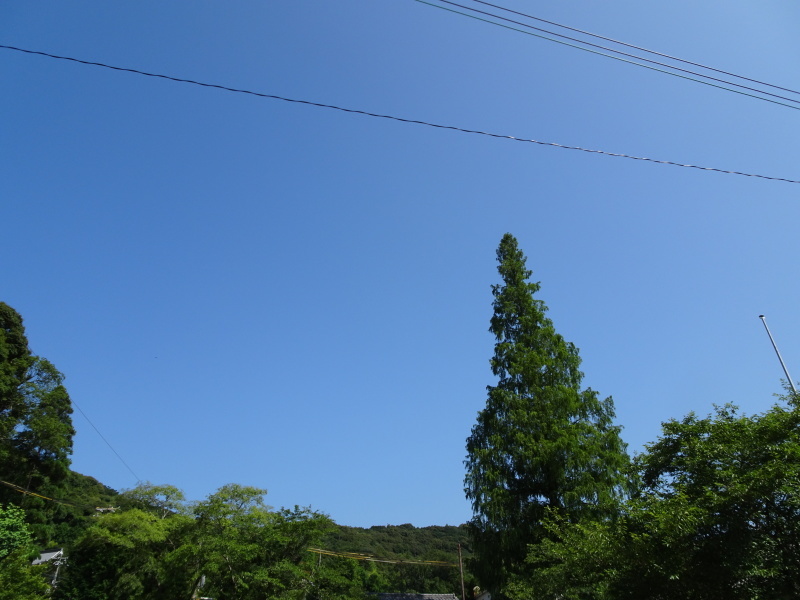 孝子地区高速道路に孝子の森が・・・_c0108460_21280523.jpg