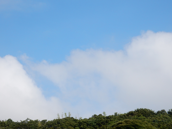 ’16,7,19(火)早朝散歩は気持ちが良い!_f0060461_91359.jpg