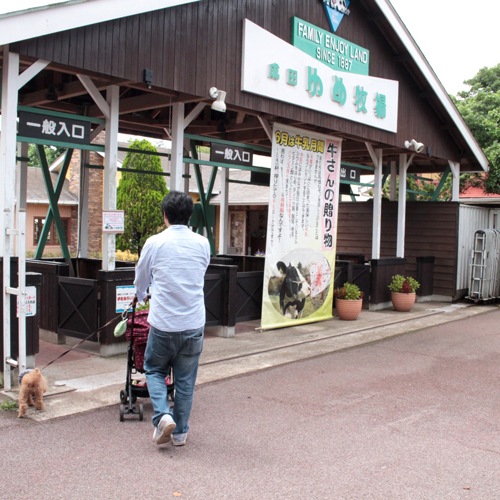 犬連れで成田ゆめ牧場へ行ってきました_f0269163_17245211.jpg