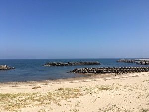 暑中御見舞い申し上げます!_b0334271_23121067.jpg