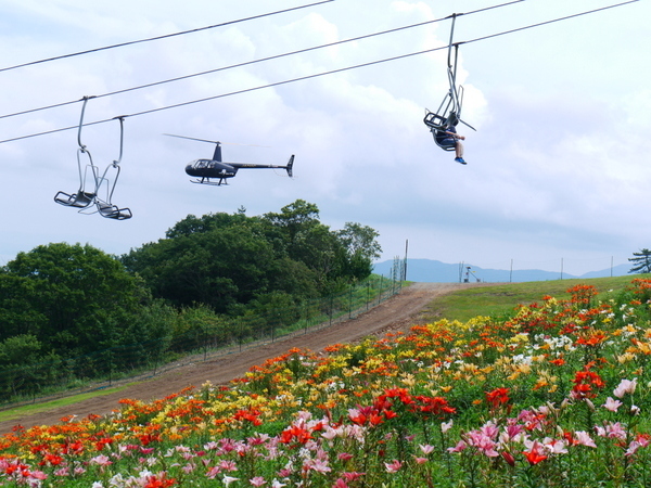 びわこ函館山ゆり園_b0358575_03065910.jpg