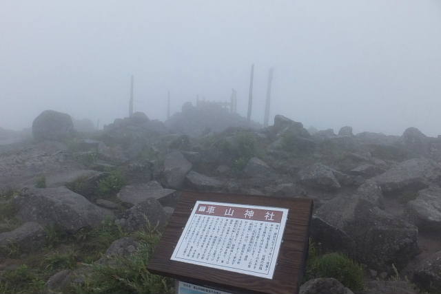 雨の車山高原で夏の花に出会う_c0022275_1133480.jpg