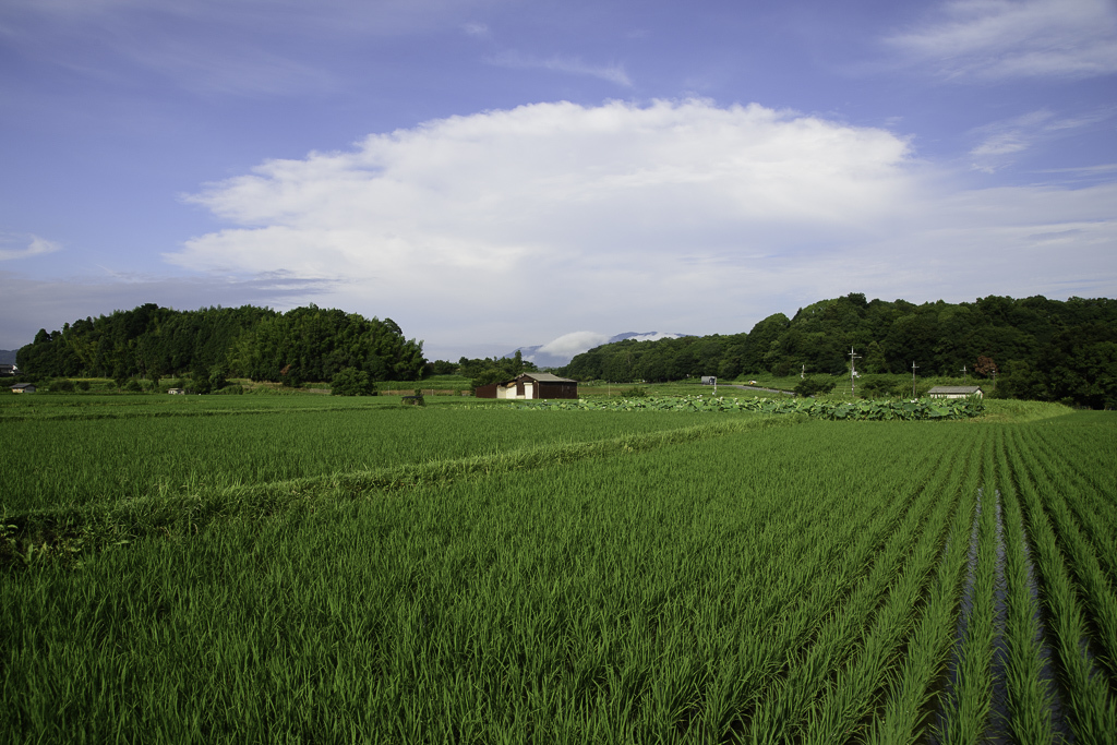 明日香の風景 1_a0301676_21303677.jpg