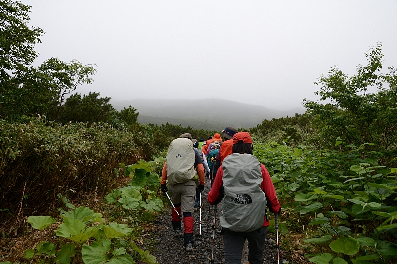 霧雨に感謝✮十勝岳温泉-上富良野岳-三峰山-富良野岳肩✮2016.7.18_e0335379_7524922.jpg