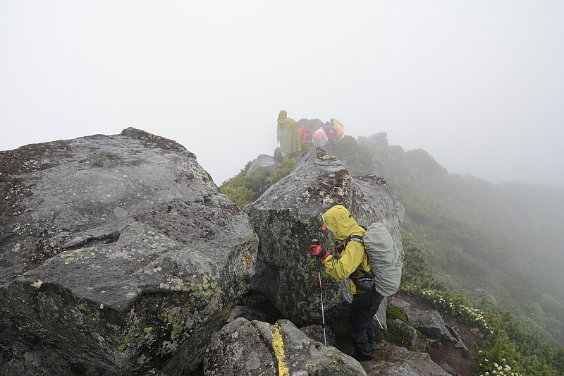 霧雨に感謝✮十勝岳温泉-上富良野岳-三峰山-富良野岳肩✮2016.7.18_e0335379_843811.jpg