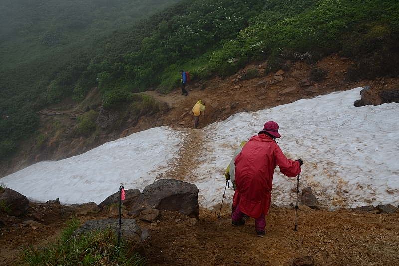 霧雨に感謝✮十勝岳温泉-上富良野岳-三峰山-富良野岳肩✮2016.7.18_e0335379_8442950.jpg