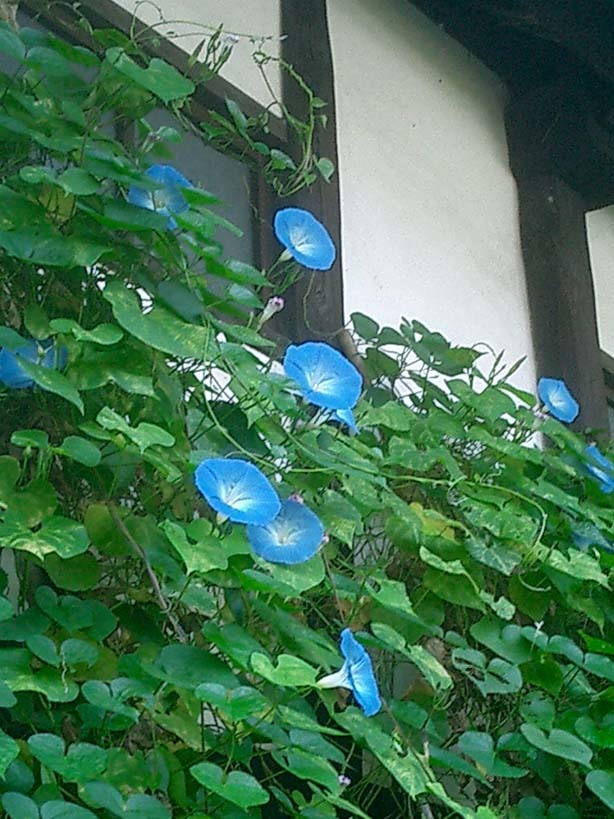 a0078980_12142512.jpg