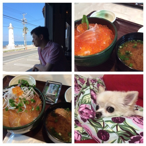 f0215684_09051933.jpeg