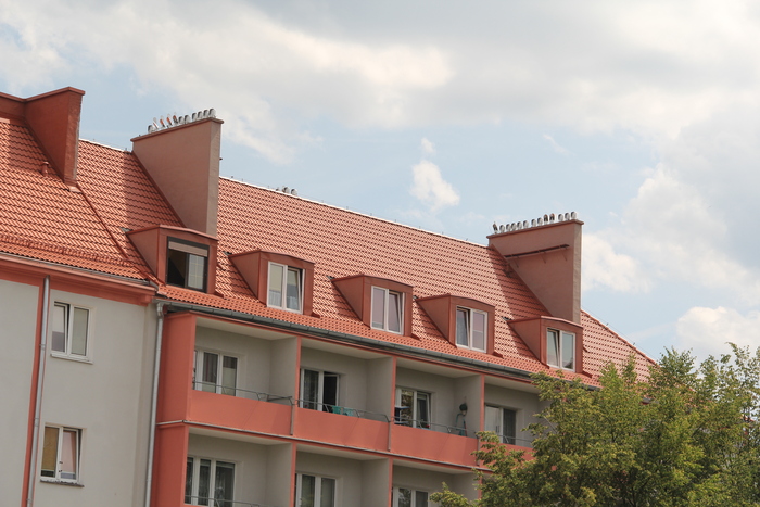 c0100195_955330.jpg