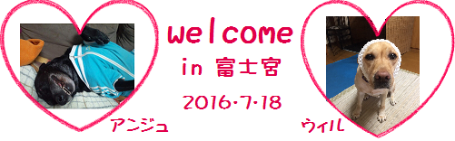 d0282395_1446399.png