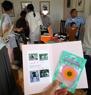 d0282395_23212492.png