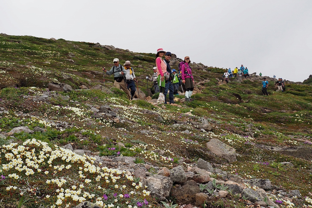  大雪山3色登山、7月17日－その2－_f0138096_1401218.jpg