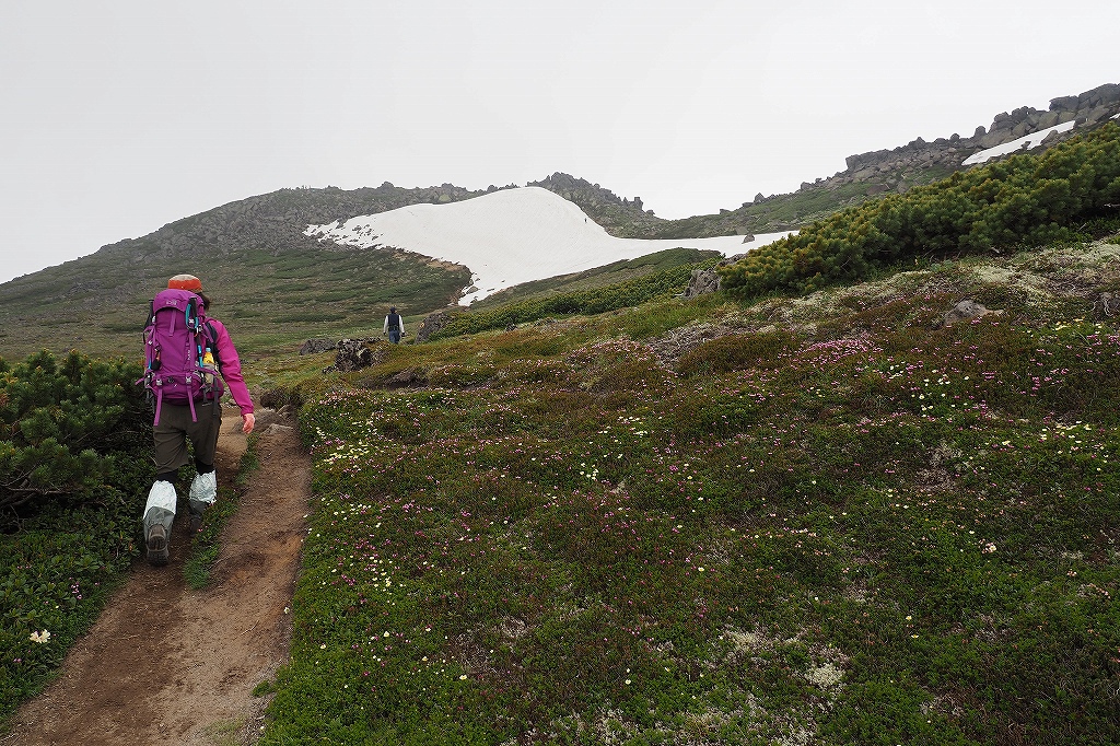  大雪山3色登山、7月17日－その2－_f0138096_1403021.jpg